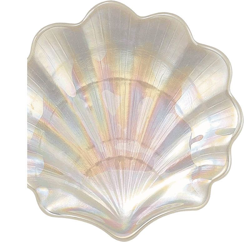 Decorative image of a seashell